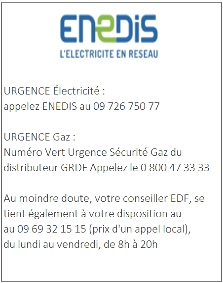 Miniature_Enedis