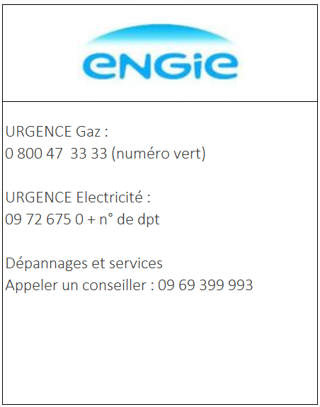 Miniature_Engie_2