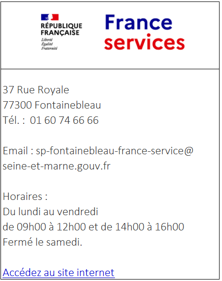 Miniature_France_Services