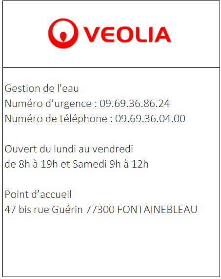 Miniature_Veolia
